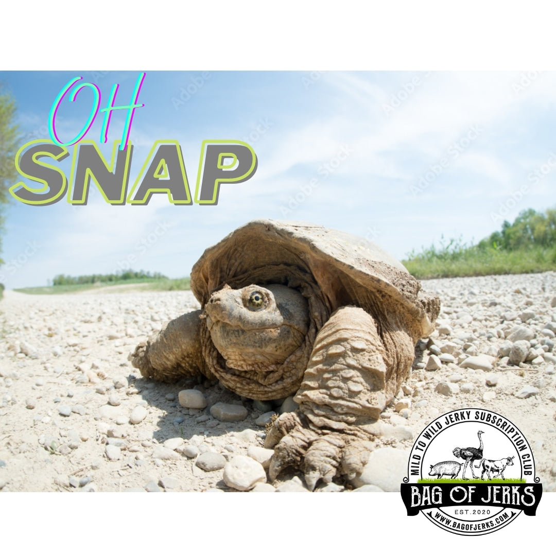The Spectacular Snapping Turtle