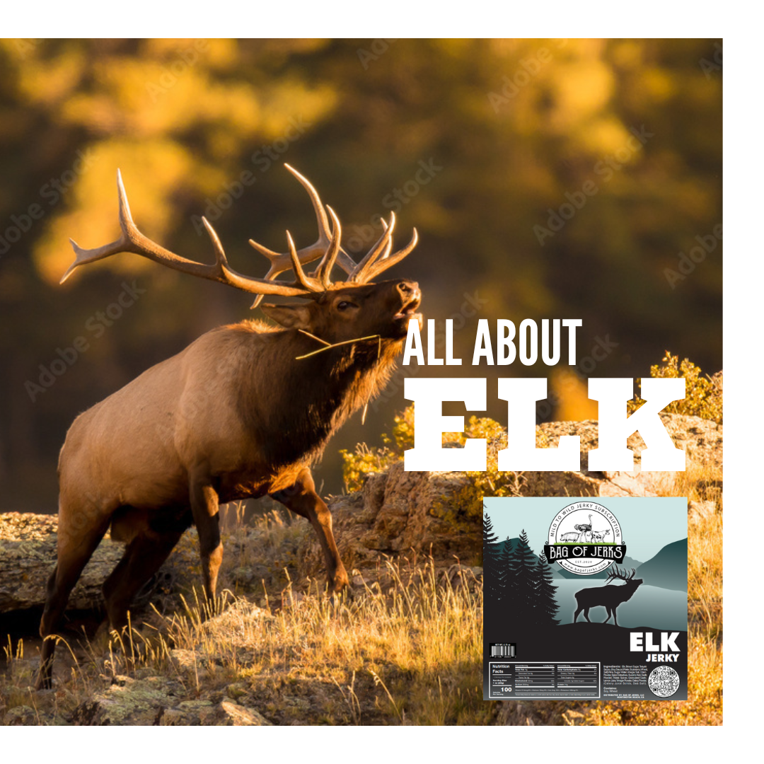 All About Elk
