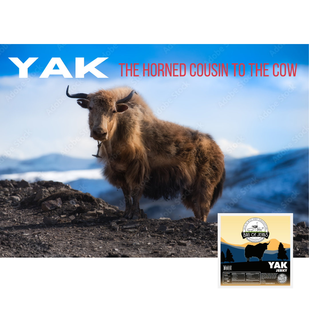 Yak: The Horned Cousin of the Cow