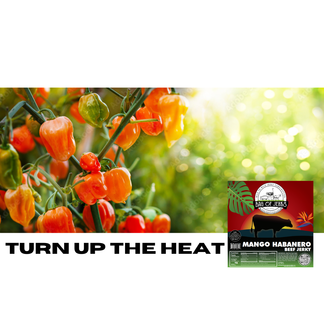 Turn up the HEAT! 🔥 🔥 🔥