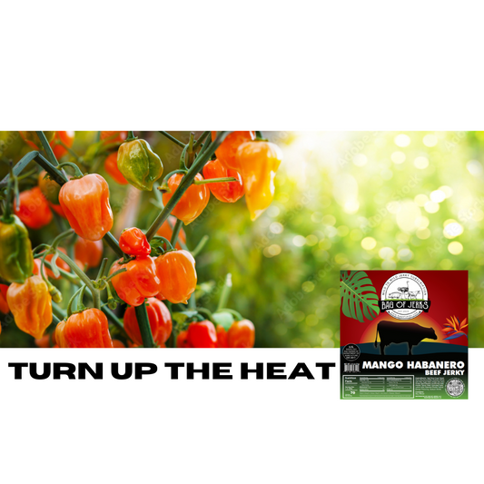 Turn up the HEAT! 🔥 🔥 🔥