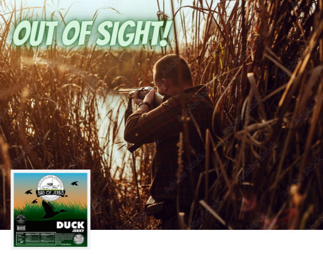 Out of Sight...