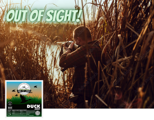 Out of Sight...
